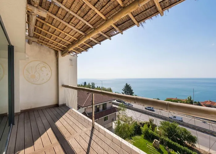 Design Lux In Bamboo Garden ,no Shoes Allowed Inside